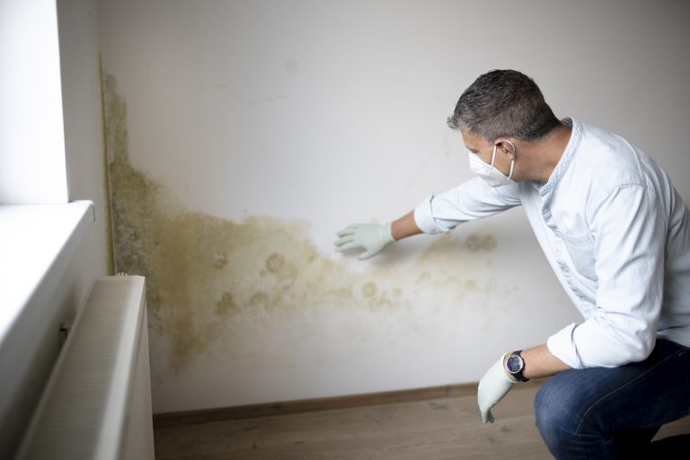 rising damp crawley